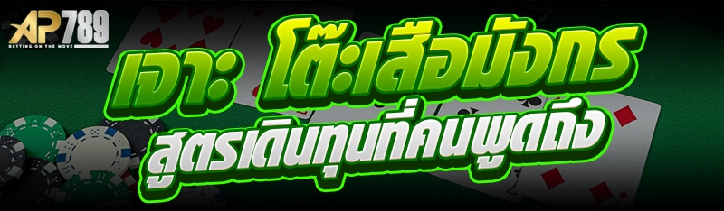 เจาะ โต๊ะเสือมังกร สูตรเดินทุนที่คนพูดถึง