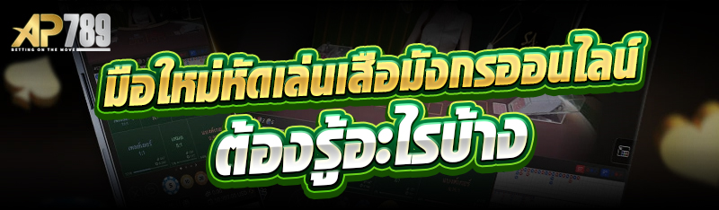 มือใหม่หัดเล่นเสือมังกรออนไลน์ ต้องรู้อะไรบ้าง